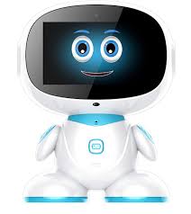 Misa Social Robot