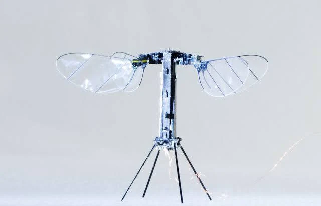 RoboBee